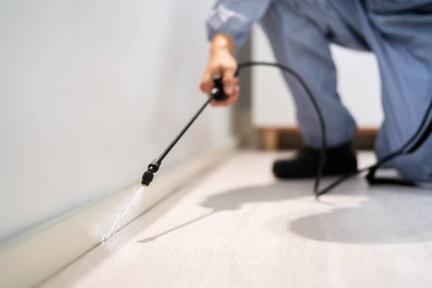 Licensed Fumigation Services service in Hill 'n Dale, FL - Nex Pest Control