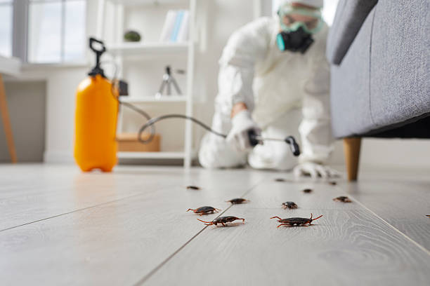 Trusted Termite Control service in Hill 'n Dale, FL - Nex Pest Control